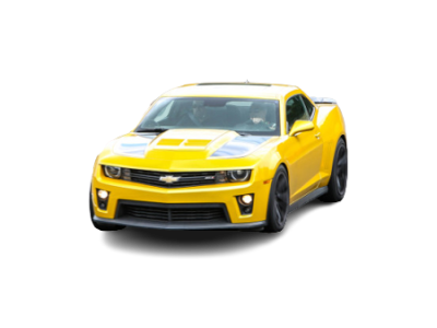 Bumblebee Driving Experiences