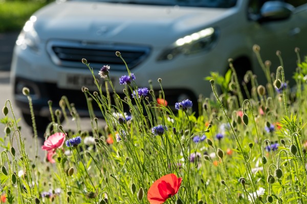 Ways to Stay Safe Behind the Wheel This Spring