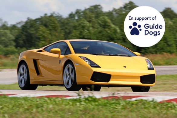 Adaptive Supercar Driving Experience - Guide Dogs Day Driving Experience 1
