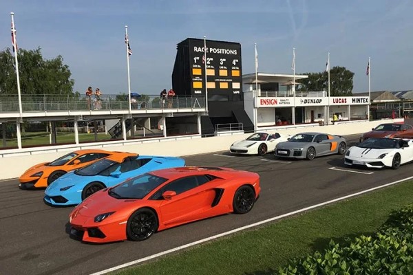 Double Diamond Supercar Experience at Goodwood Experience from drivingexperience.com